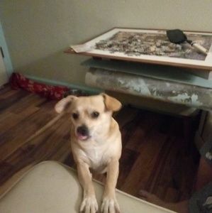 Meet your Posher, Toni